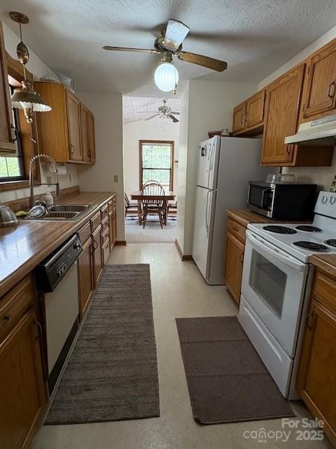 585 Purple Finch Rd, Brevard, NC 28712 - photo 6