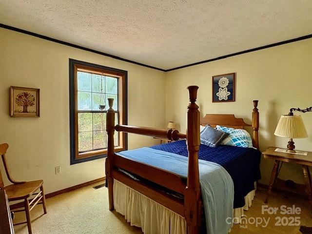 585 Purple Finch Rd, Brevard, NC 28712 - photo 11