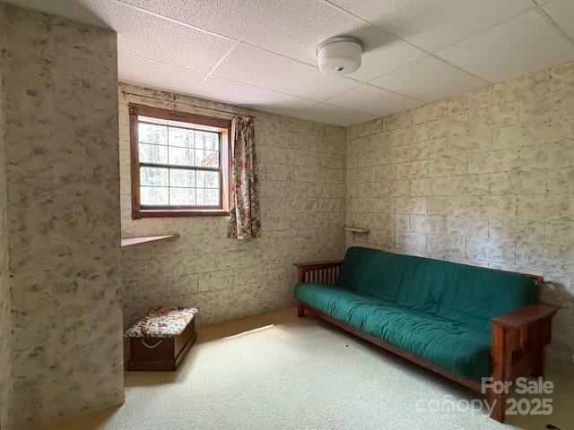 585 Purple Finch Rd, Brevard, NC 28712 - photo 17