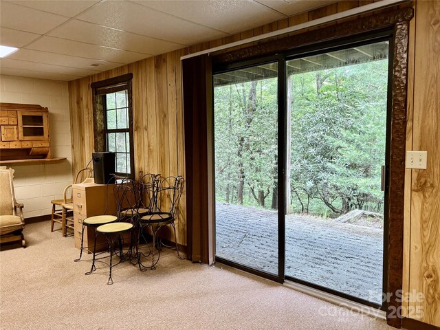 585 Purple Finch Rd, Brevard, NC 28712 - photo 15