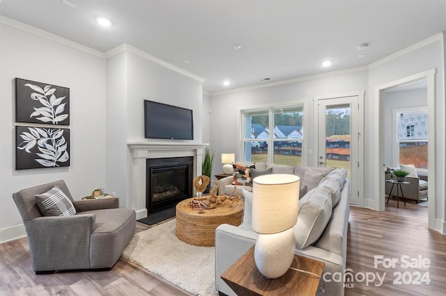 living room featuring hardwood / wood-style floors and ornamental molding