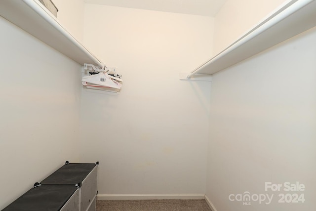 walk in closet with carpet