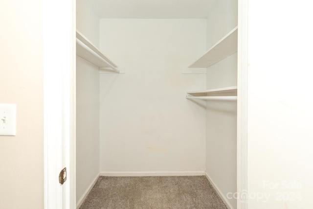 spacious closet with carpet