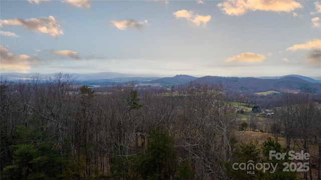 Listing photo 3 for 00 Linneys Mountain Rd, Taylorsville NC 28681