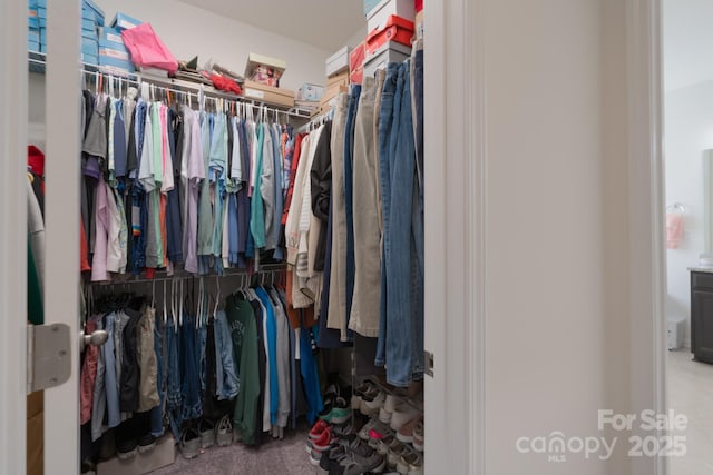 walk in closet with carpet flooring