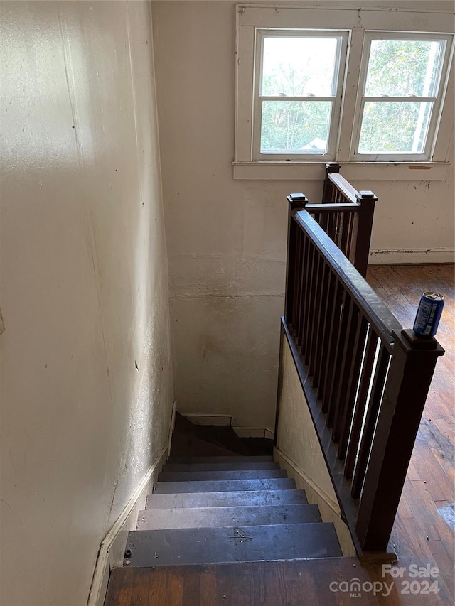 staircase with hardwood / wood-style floors