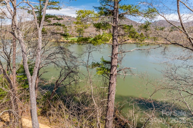 property view of water featuring a mountain view