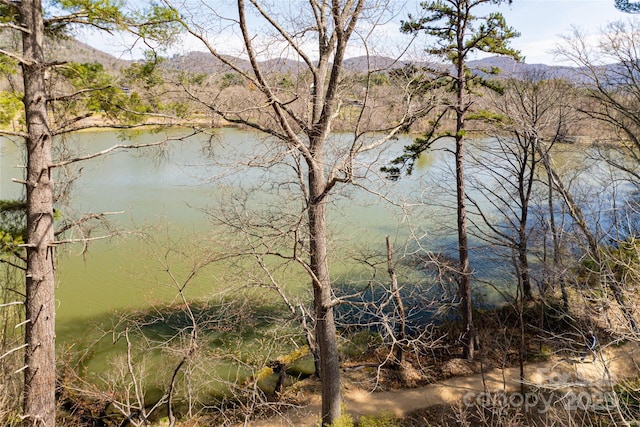 property view of water featuring a mountain view