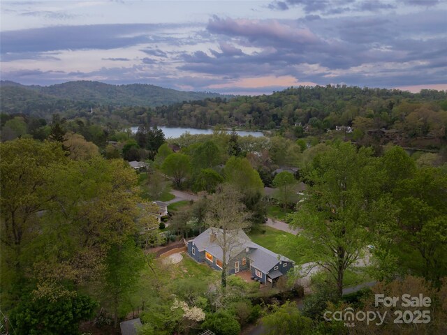11 Pine Acre Blvd, Asheville, NC 28804 - photo 22