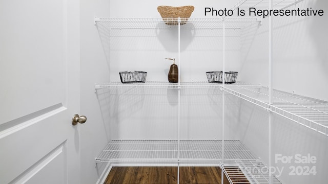 walk in closet with wood-type flooring