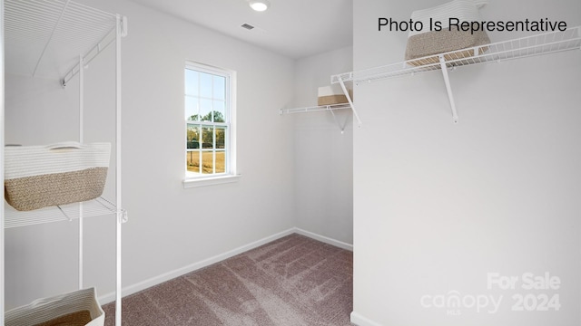 walk in closet with carpet