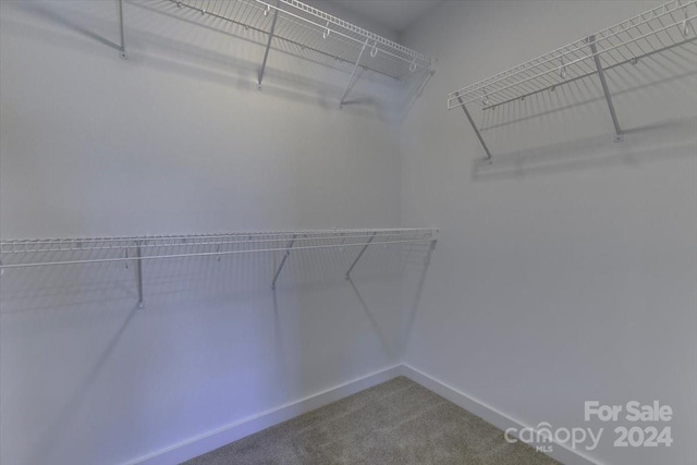 spacious closet with carpet flooring