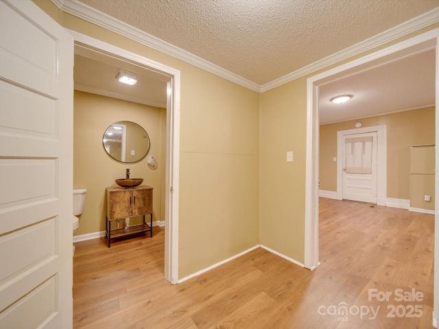 corridor with sink, light hardwood / wood-style floors, a textured ceiling, and ornamental molding