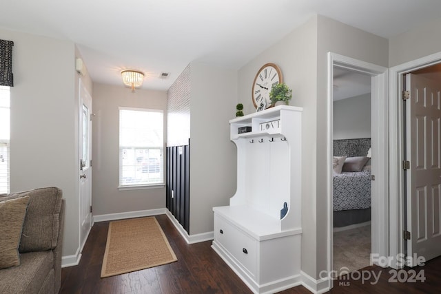 mudroom featuring dark hardwood / wood-style floors