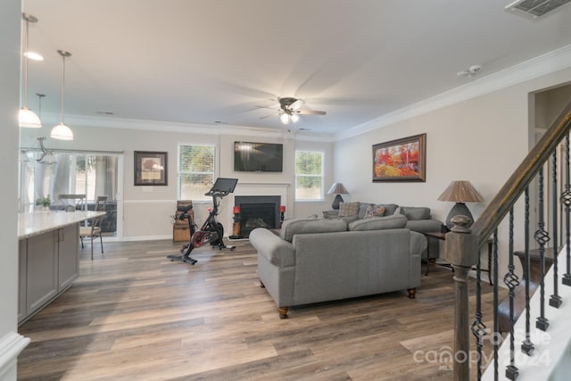 living room with dark hardwood / wood-style floors, ceiling fan, and crown molding