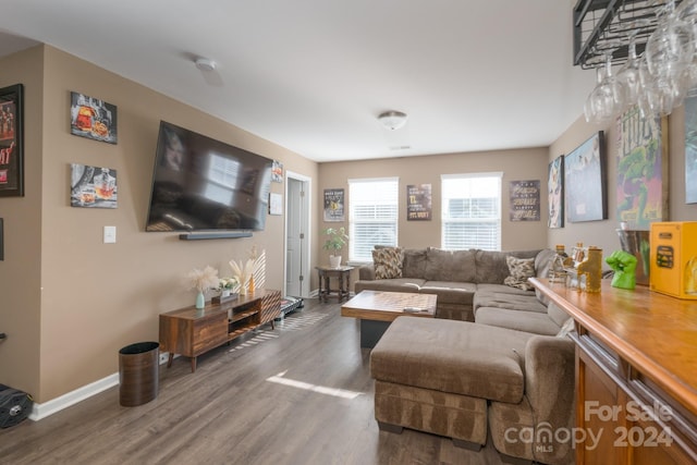 living room with dark hardwood / wood-style floors