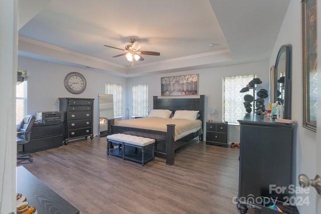 bedroom with ceiling fan, dark hardwood / wood-style flooring, multiple windows, and a tray ceiling