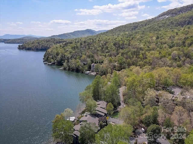 aerial view with a water and mountain view