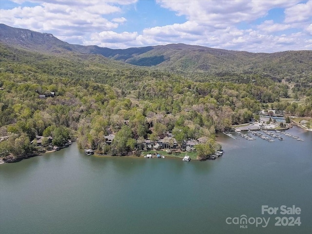 drone / aerial view featuring a water and mountain view