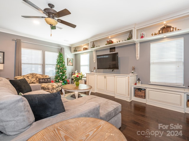 living room with ceiling fan, dark hardwood / wood-style flooring, and ornamental molding