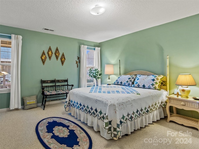 bedroom featuring a textured ceiling and multiple windows