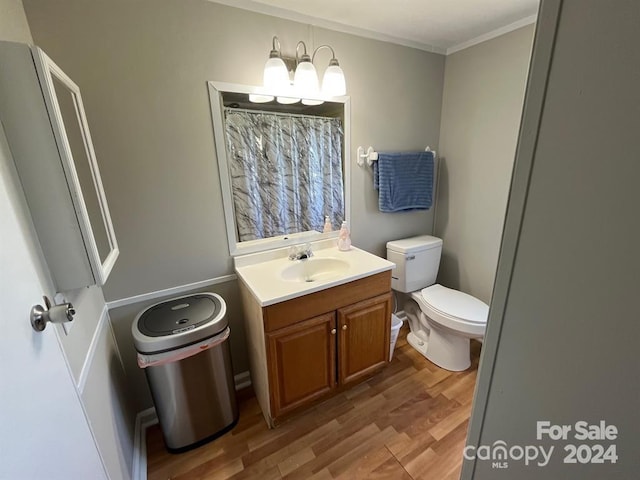 bathroom featuring vanity, toilet, and wood-type flooring