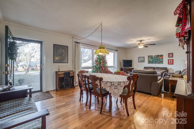 dining space with ceiling fan, crown molding, light wood-type flooring, and a textured ceiling