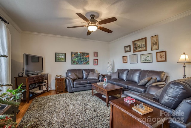 living room featuring a textured ceiling, ceiling fan, wood-type flooring, and crown molding