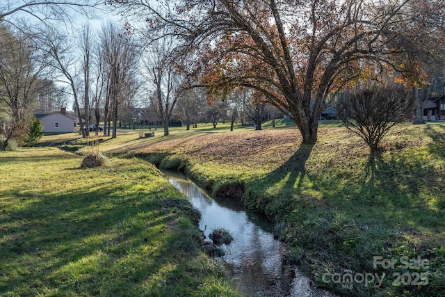 view of property's community with a yard