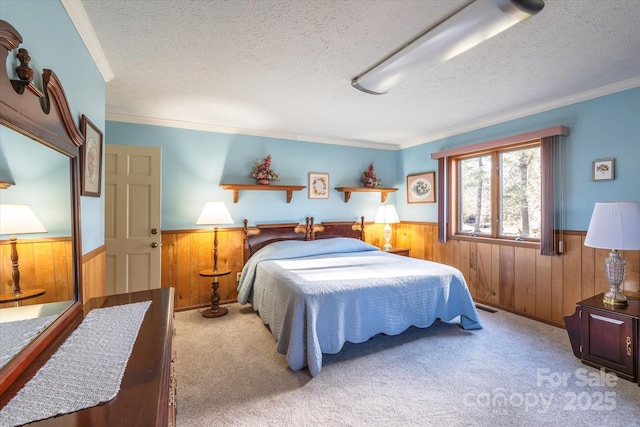 bedroom featuring carpet flooring, wainscoting, and a textured ceiling