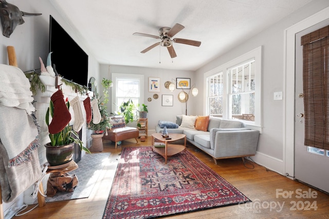 living room featuring ceiling fan and wood-type flooring