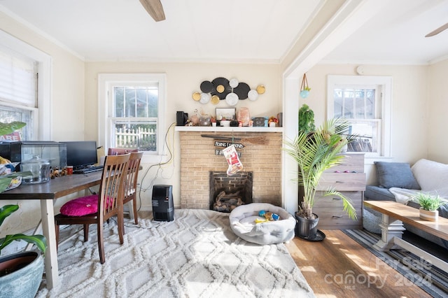 office area with ceiling fan, a fireplace, crown molding, and light hardwood / wood-style flooring