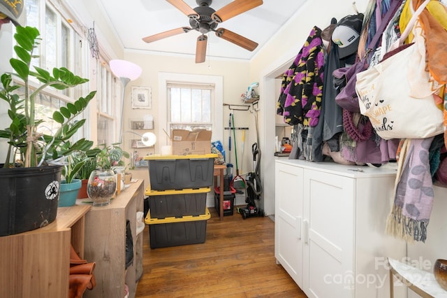 interior space with ceiling fan, dark hardwood / wood-style flooring, and ornamental molding