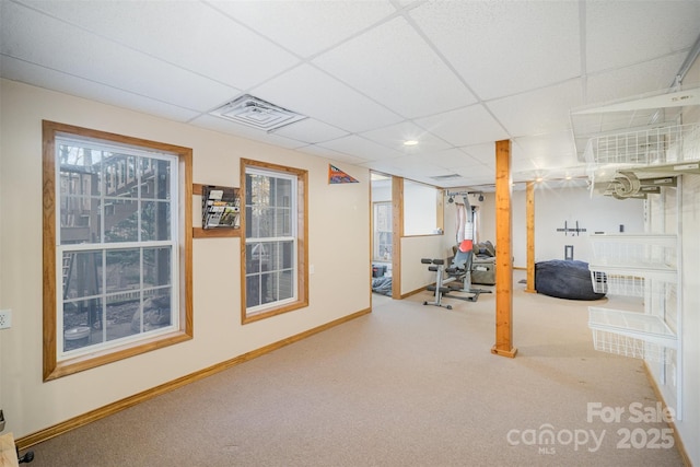 basement with a paneled ceiling, carpet, and plenty of natural light