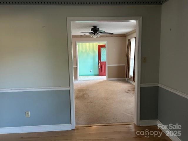 unfurnished room with light hardwood / wood-style flooring and ceiling fan