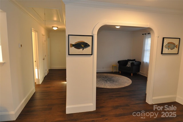 hall with dark hardwood / wood-style flooring and ornamental molding