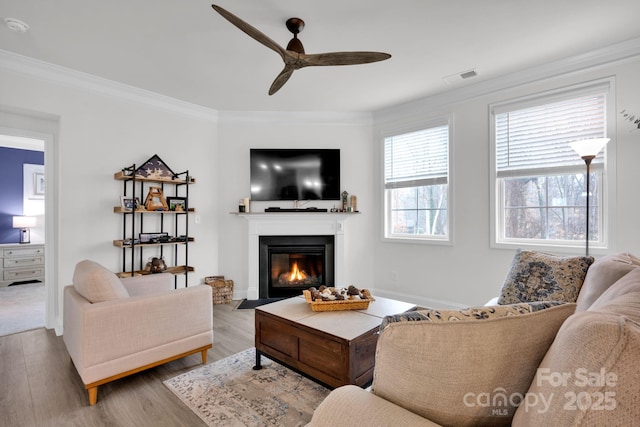 living room featuring ceiling fan, hardwood / wood-style floors, and ornamental molding