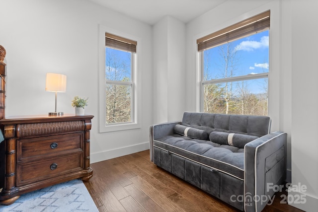 living area with dark wood-type flooring