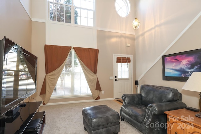 living room with carpet flooring and a high ceiling