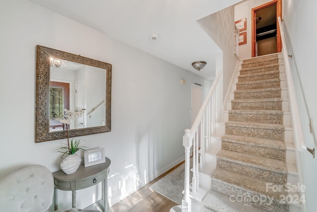 stairway featuring hardwood / wood-style floors