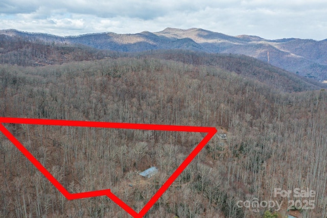 Listing photo 3 for 9999 Chestnut Creek Rd, Candler NC 28715