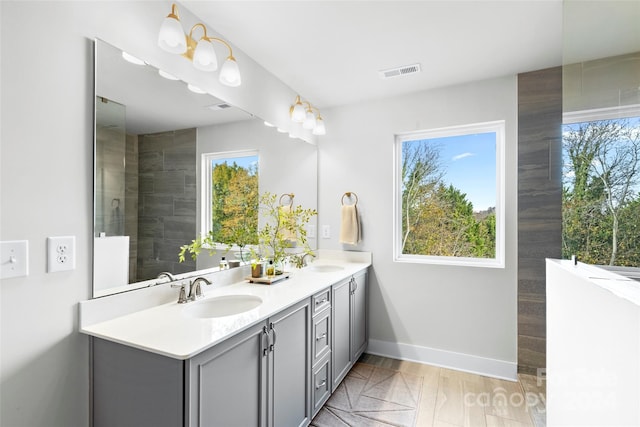 bathroom featuring vanity and a wealth of natural light