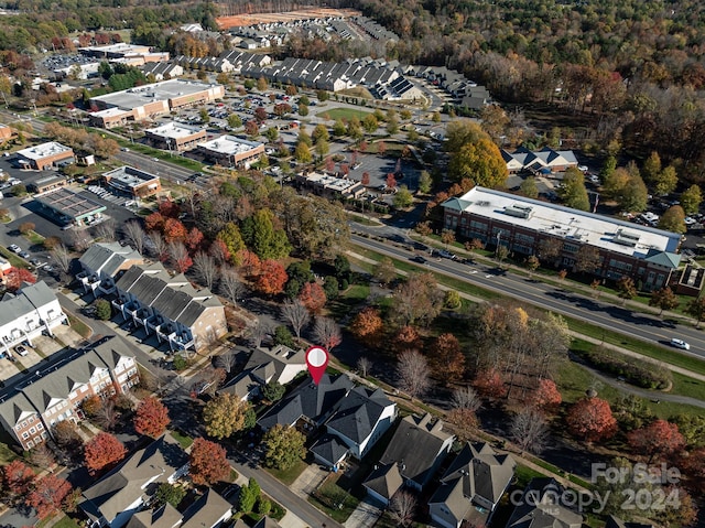 bird's eye view