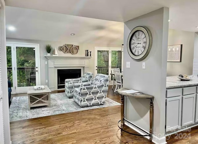 living room with dark hardwood / wood-style flooring