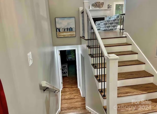 stairway featuring wood-type flooring