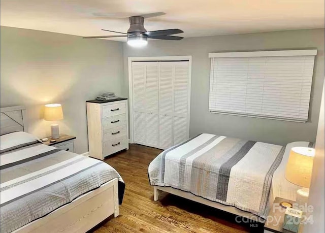 bedroom with ceiling fan, a closet, and dark wood-type flooring