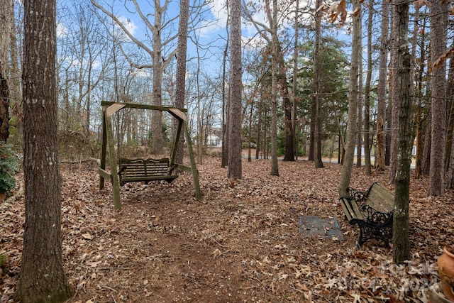 view of local wilderness