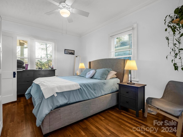 bedroom featuring multiple windows, ceiling fan, and dark wood-type flooring