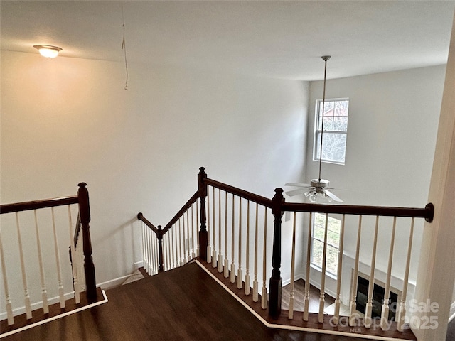 stairs featuring ceiling fan and hardwood / wood-style floors