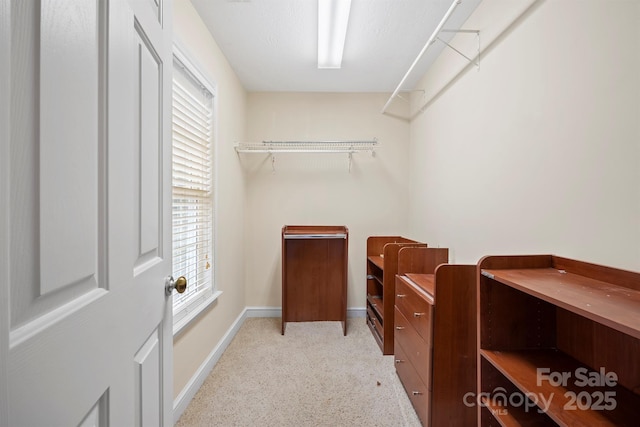 spacious closet with light carpet